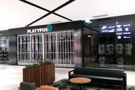 platypus—-werribee.jpg